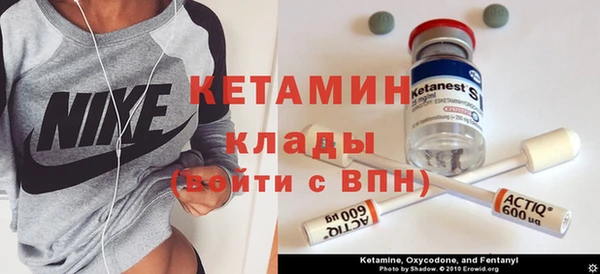 молекула духа Новозыбков