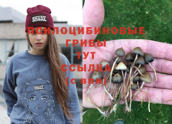 марки lsd Нязепетровск