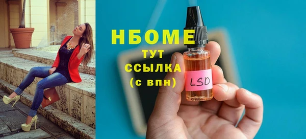 spice Ельня