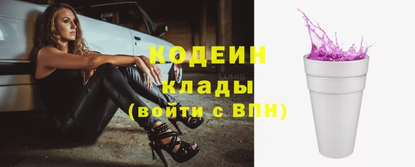 стафф Няндома