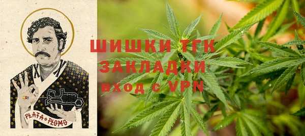 стафф Няндома