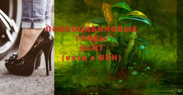 бошки Нягань