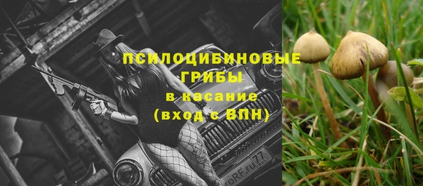 бошки Нягань