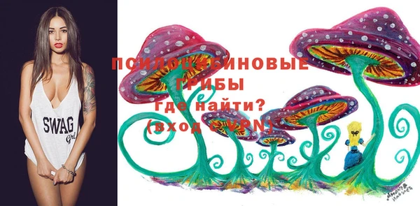 марки lsd Нязепетровск