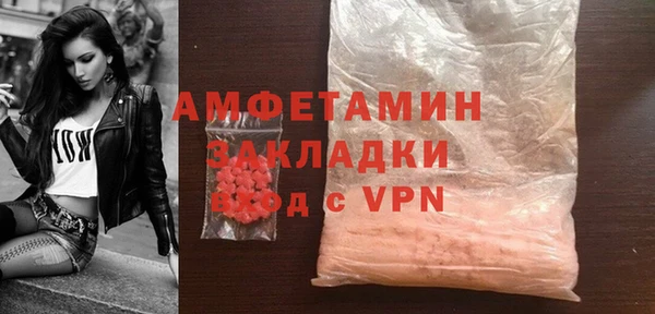 молекула духа Новозыбков