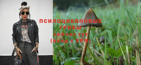 крисы Карабаш