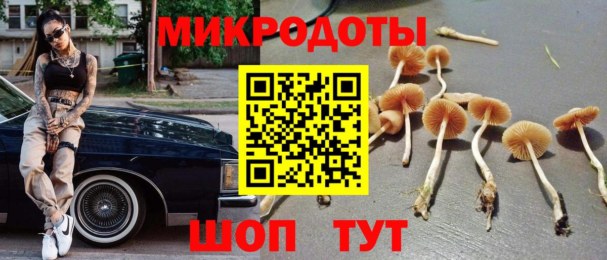 Лениногорск  Галлюциногенные грибы ЛСД  наркота  Вход с VPN 
