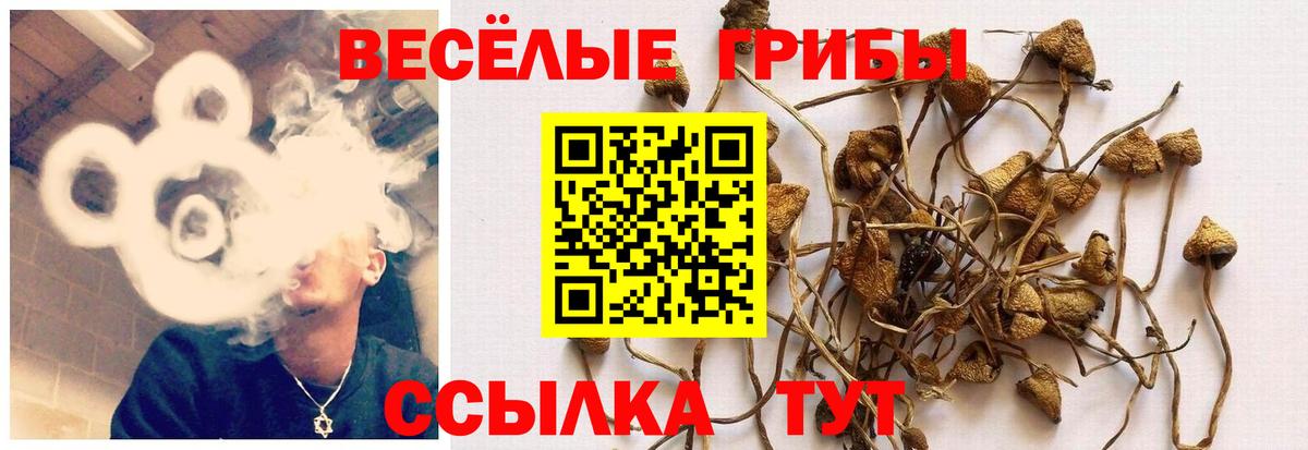 Галлюциногенные грибы Cubensis  Галлюциногенные грибы GOLDEN TEACHER  Лениногорск 